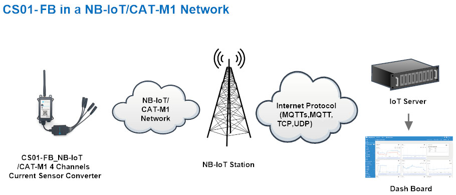 network structure.jpg